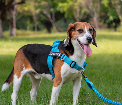 PacFur™ Walk Control Kit